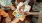 people around a table with donuts